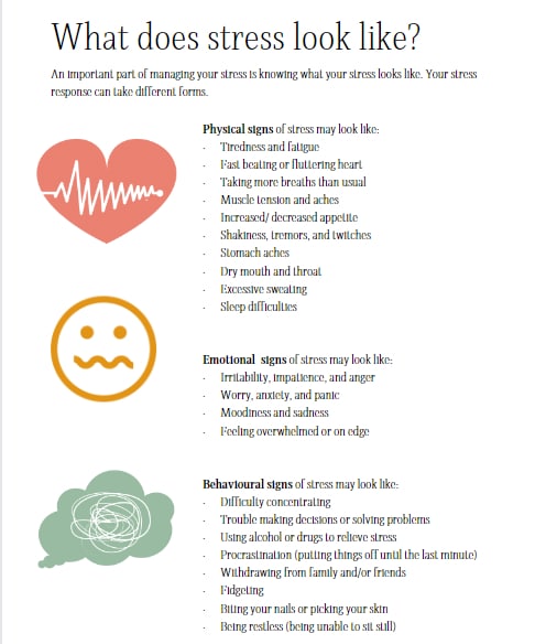 Teen's Guide - Strength Potential